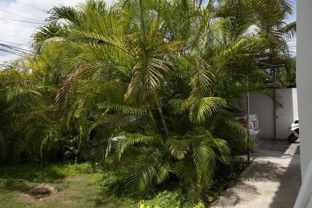 Villa Caribe 巴亚希贝 外观 照片