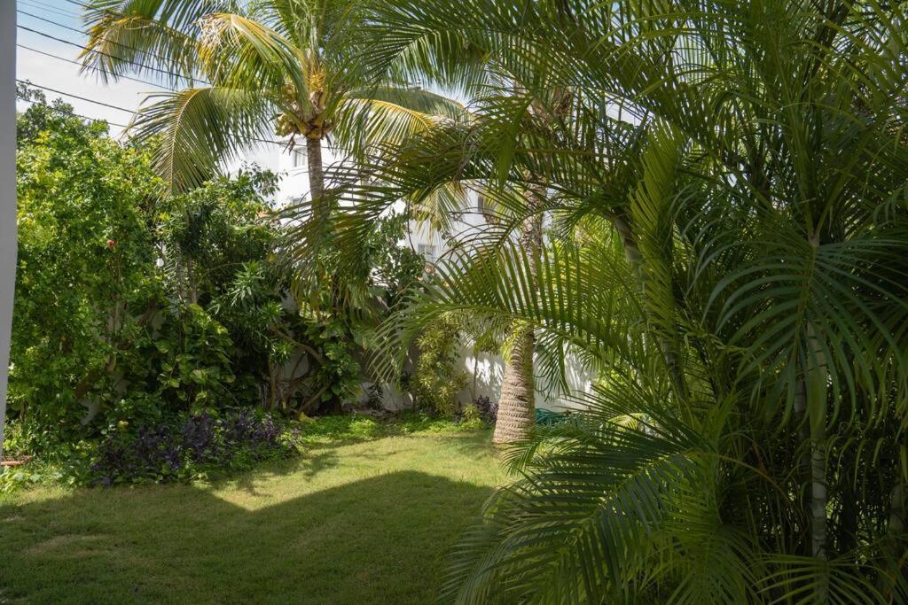 Villa Caribe 巴亚希贝 外观 照片